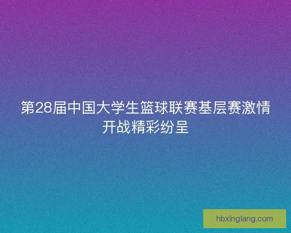 第28届中国大学生篮球联赛基层赛激情开战精彩纷呈