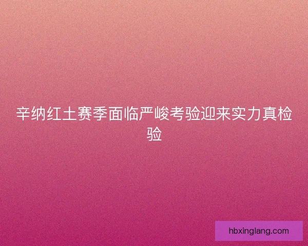 辛纳红土赛季面临严峻考验迎来实力真检验